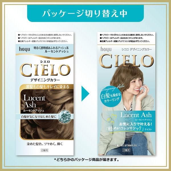 Hoyu Cielo Designing Color For Gray Hair - Lucent Ash