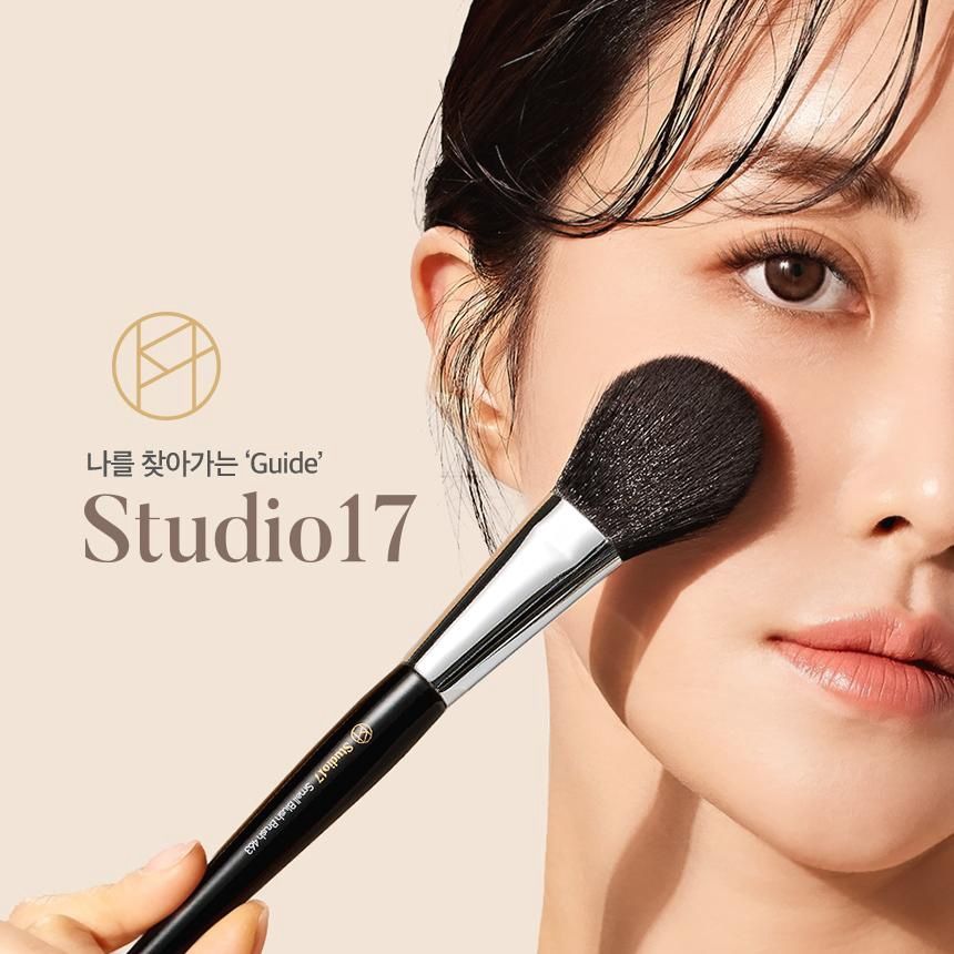 Studio 17 Chin Shading Brush 492
