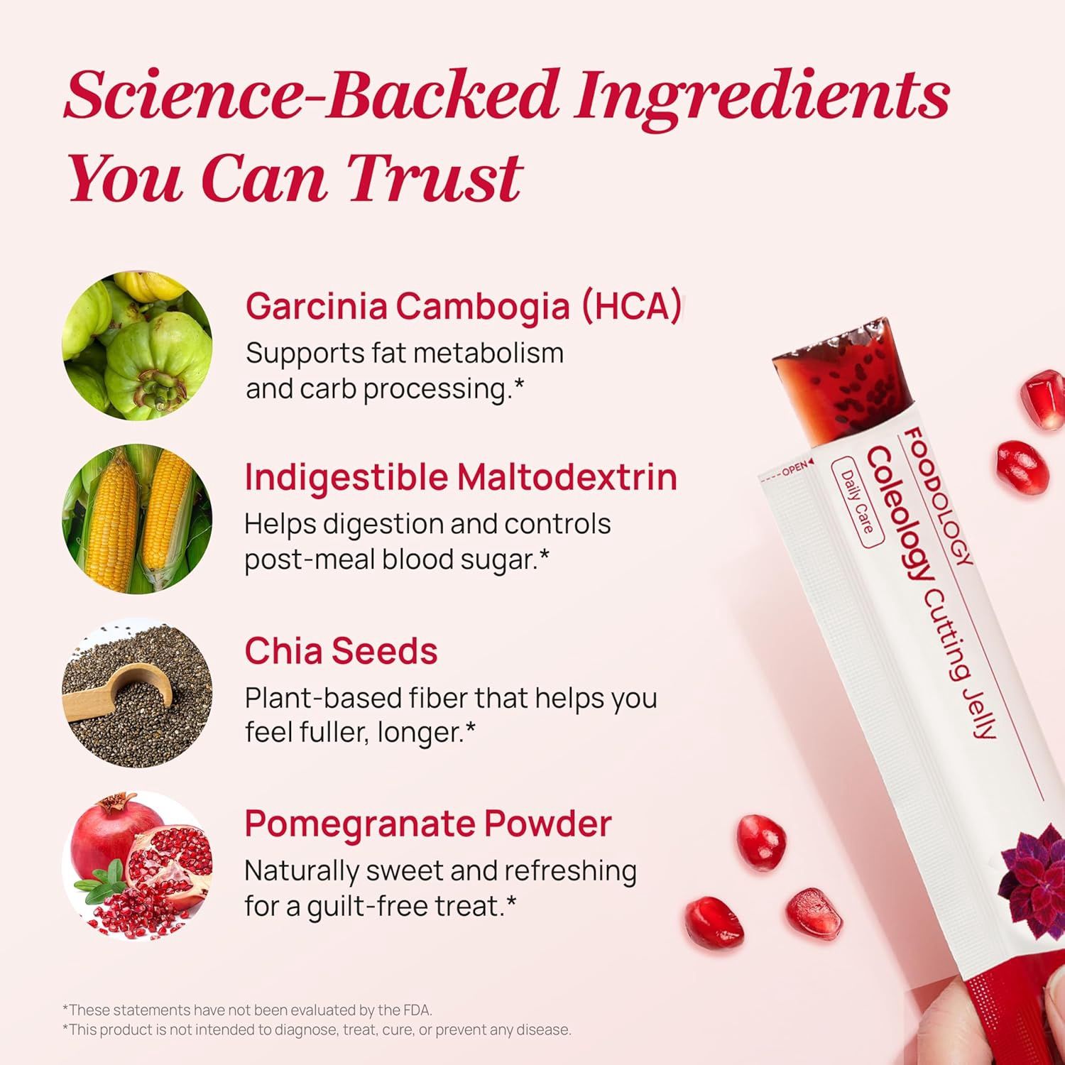 FOODOLOGY Coleology Cutting Jelly Pomegranate 10 Sticks (SK)