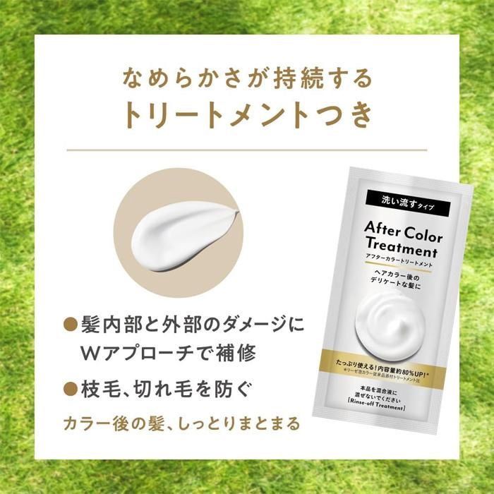 Kao Liese Foam Hair Color - Natural Black