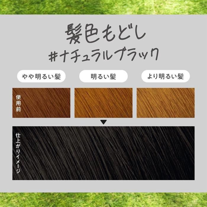 Kao Liese Foam Hair Color - Natural Black