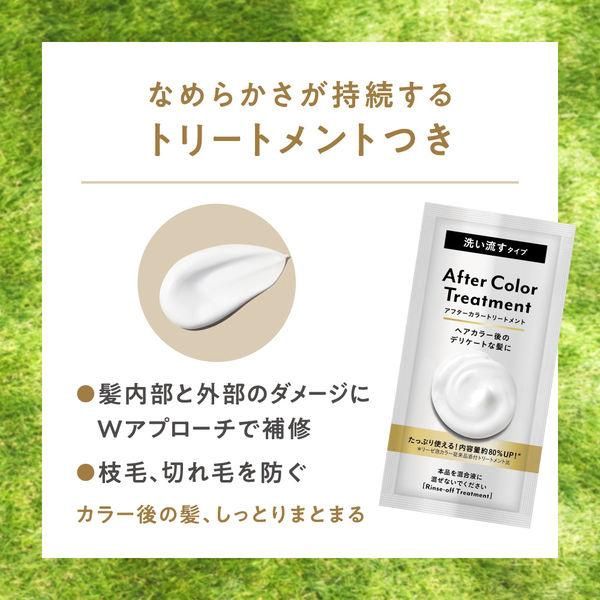 Kao Liese Foam Hair Color -Smoky Ash Gray