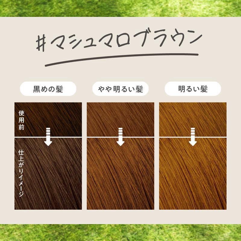Kao Liese Foam Hair Color - Marshmallow Brown