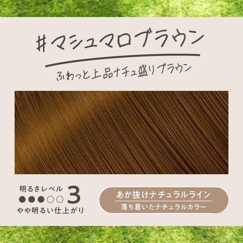 Kao Liese Foam Hair Color - Marshmallow Brown