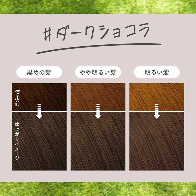Kao Liese Foam Hair Color - Dark Chocolate Brown
