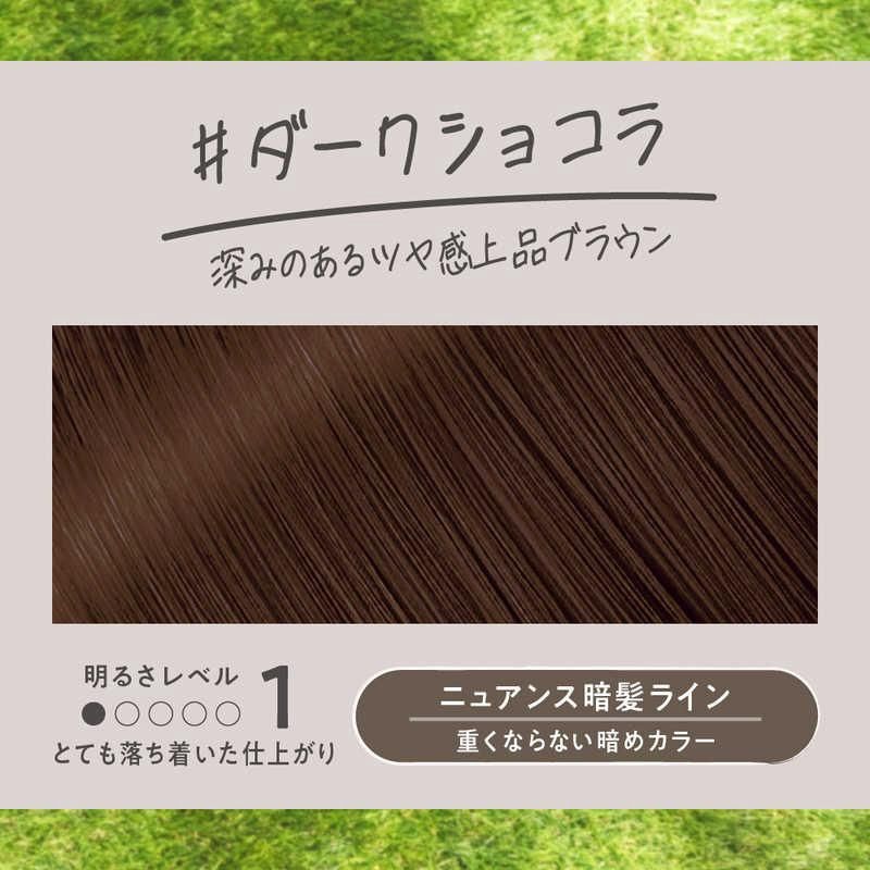 Kao Liese Foam Hair Color - Dark Chocolate Brown