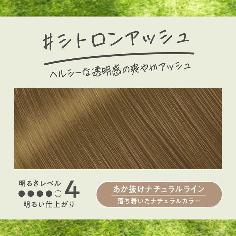 Kao Liese Foam Hair Color - Citron Ash