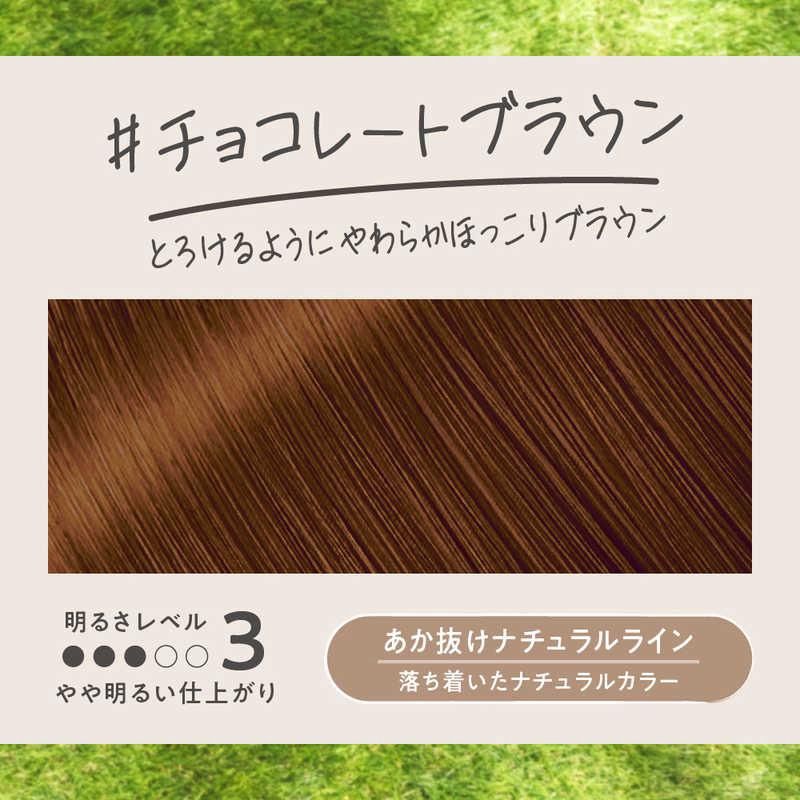 Kao Liese Foam Hair Color - Chocolate Brown