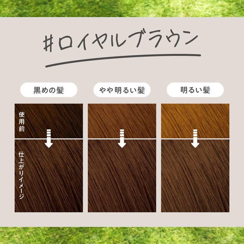 Kao Liese Foam Hair Color - Royal Brown