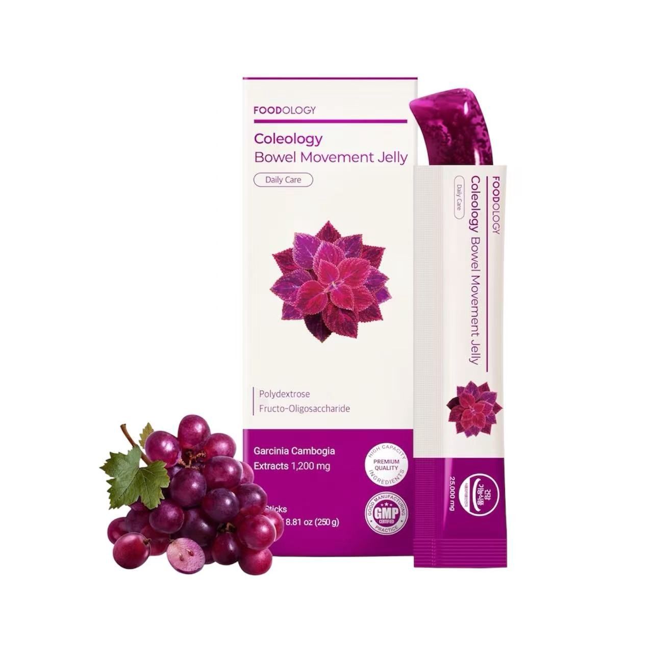 FOODOLOGY Coleology Bowel Movement Jelly Grape 10 Sticks (SK)