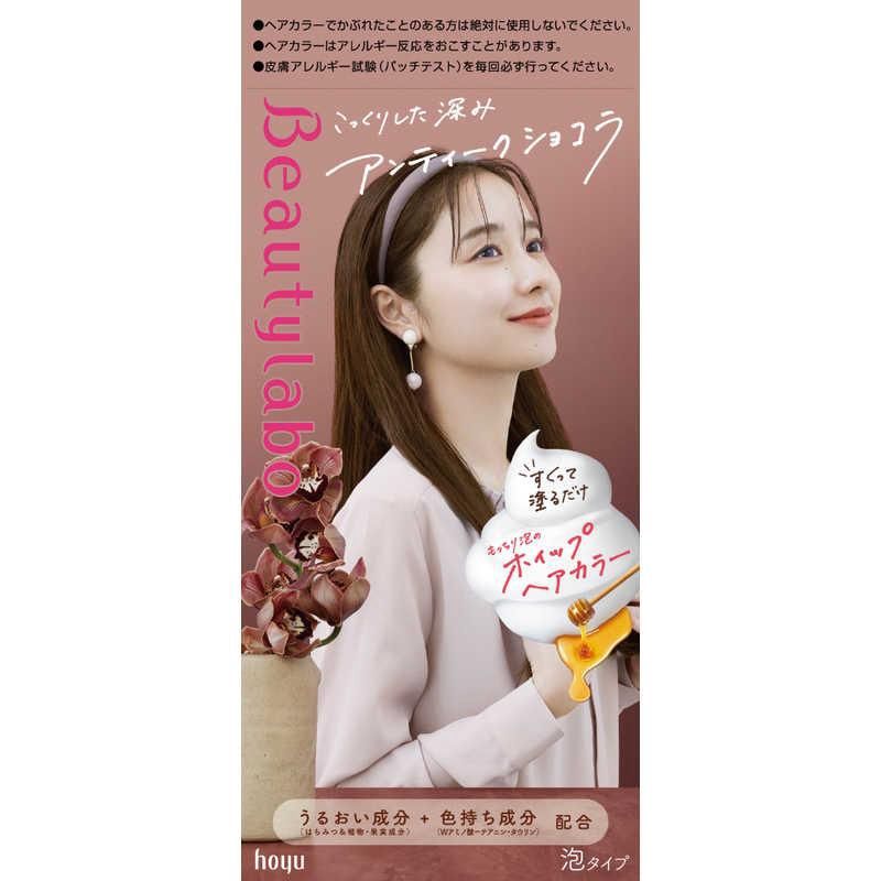 Hoyu Beauty Labo Whip Hair Color - Antique Chocolate (I)