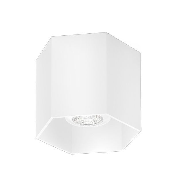 Hexo Ceiling 1.0 PAR16 G