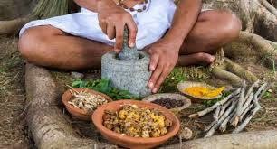 AUDIO - Ayurveda and Health