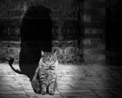 AUDIO-How to have proper discriminitation in our life