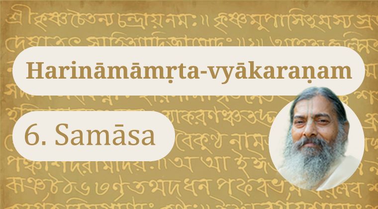 Harināmāmṛta-vyākaraṇam 6 – Samāsa