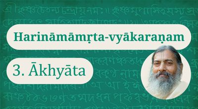 Harināmāmṛta-vyākaraṇam 3 – Ākhyāta