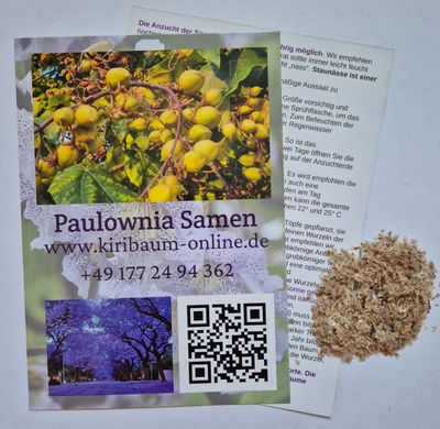 1000 Samen Paulownia Shan Tong