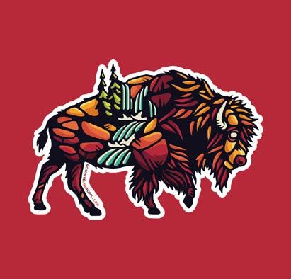 BISON OUTDOORS STICKER