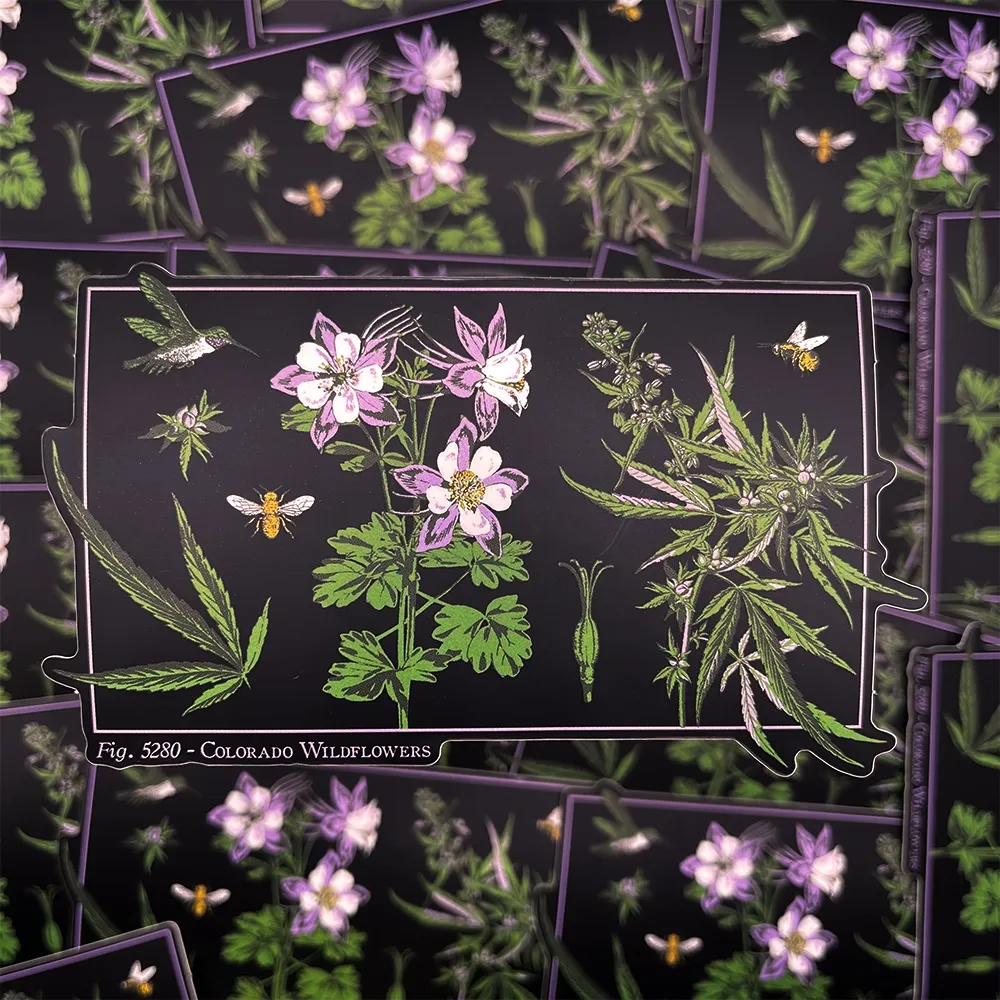 Colorado Wildflower Sticker