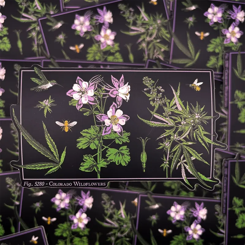 Colorado Wildflower Sticker
