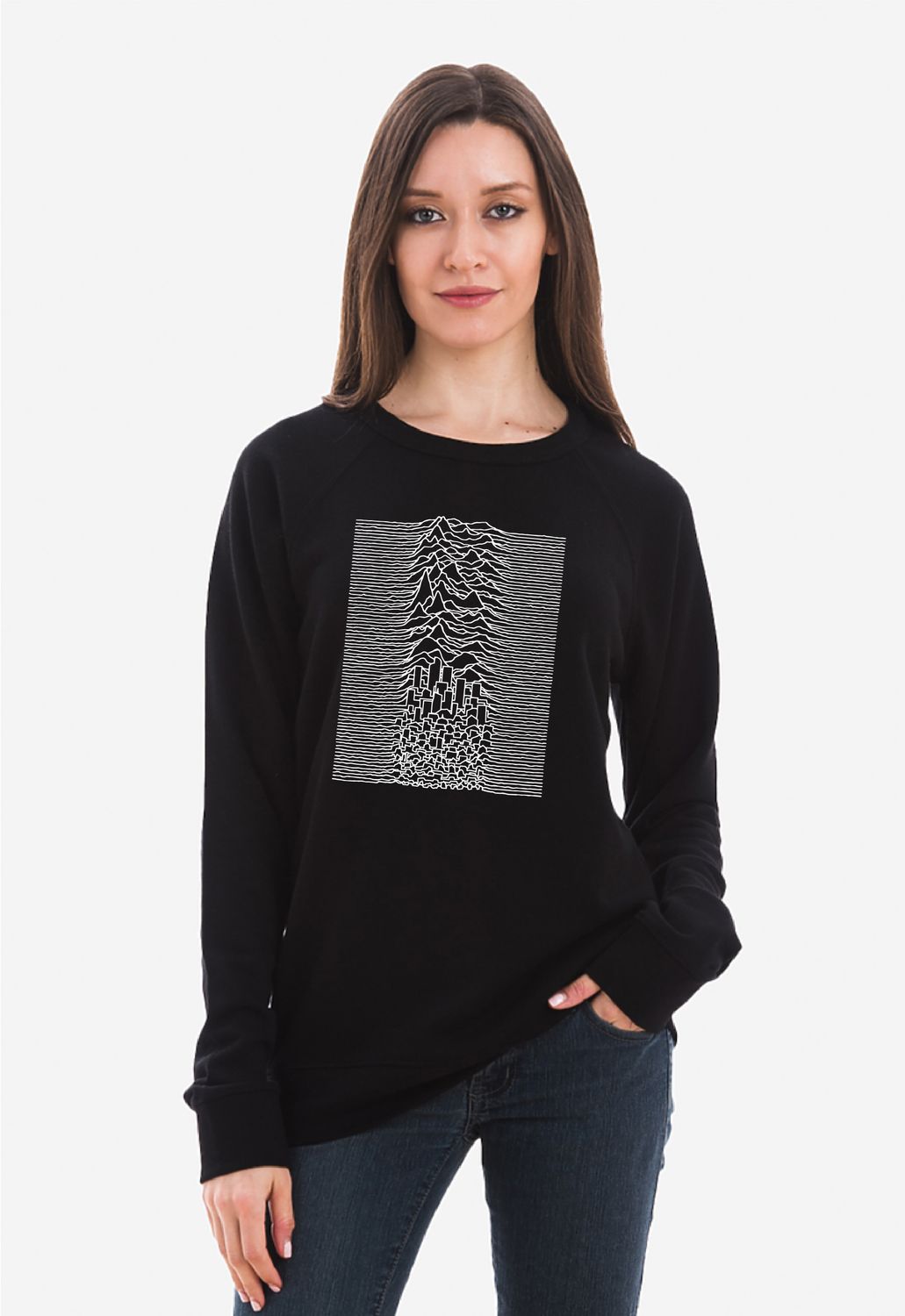 Denvision Crewneck Sweatshirt