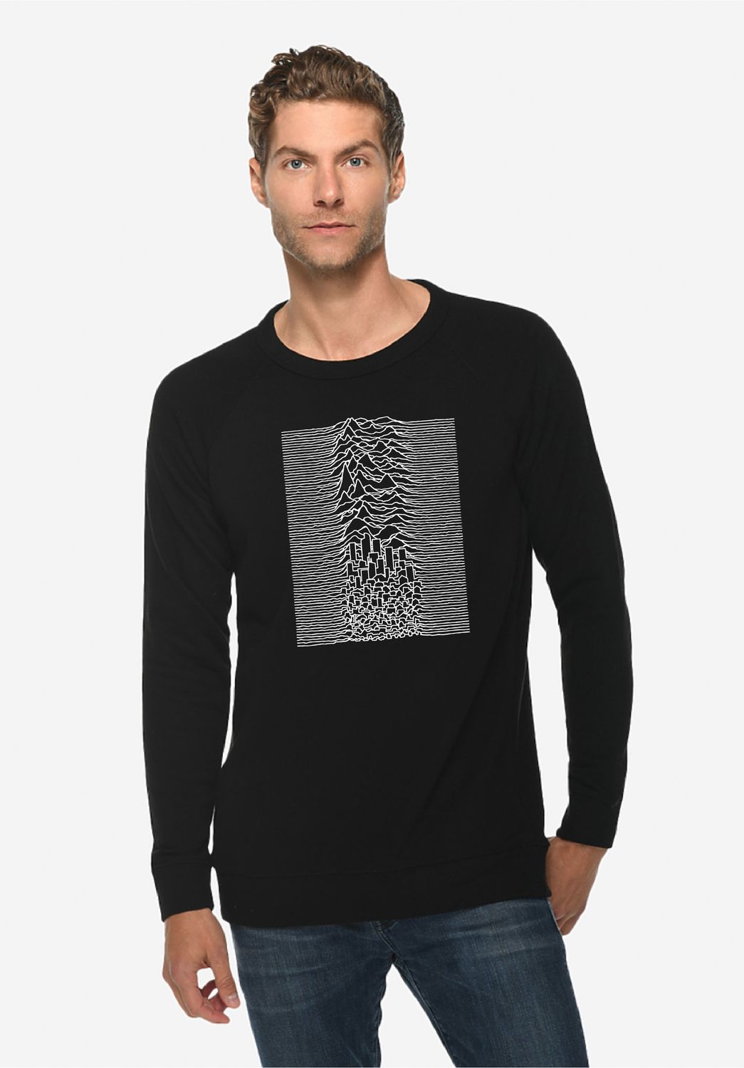 Denvision Crewneck Sweatshirt