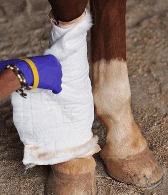 Bandages & Wraps