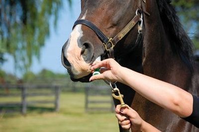 Dewormer