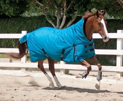 Horsewear