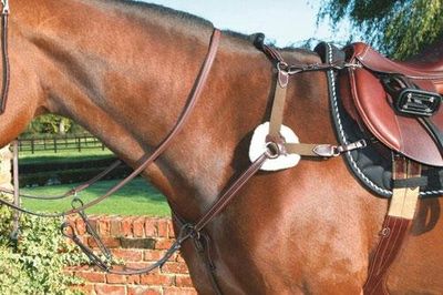 Breast Collars, Martingales & Girths