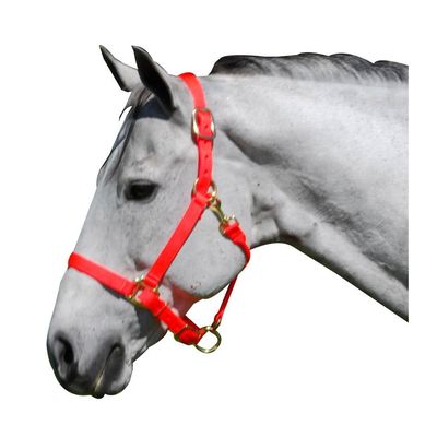 Halters | Nylon
