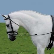 Reins