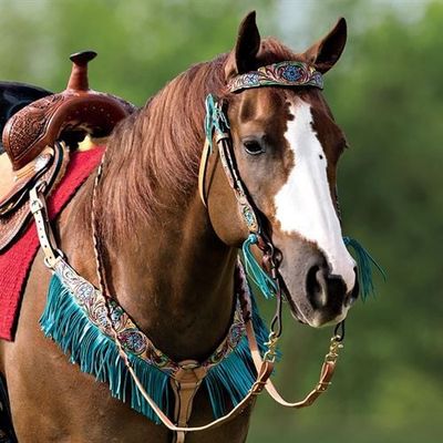 Breast Collars | Western