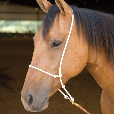 Nosebands & Tie Downs