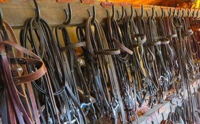 Bridles, Reins & Parts