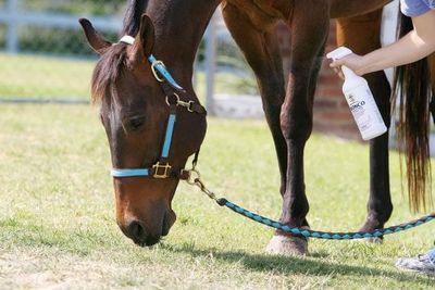 Fly & Tick Repellants