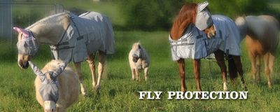 Fly Protection