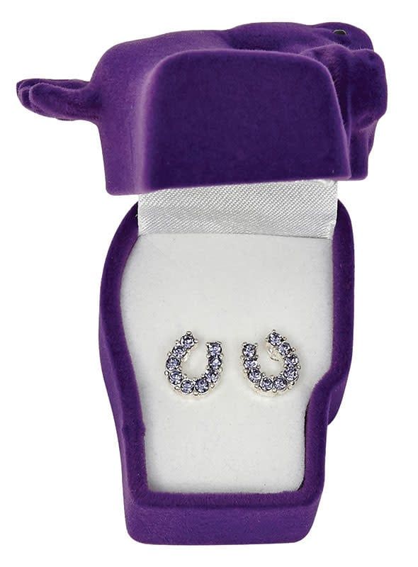 Earrings - Rhinestone Horseshoe