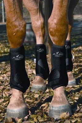Professional's Choice SMB VenTech Elite (Pair)