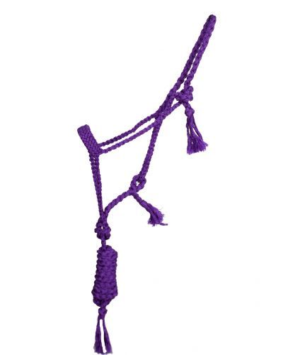 Woven Nylon Mule Tape Halter