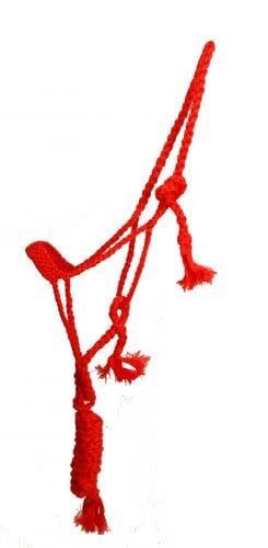 Woven Nylon Mule Tape Halter