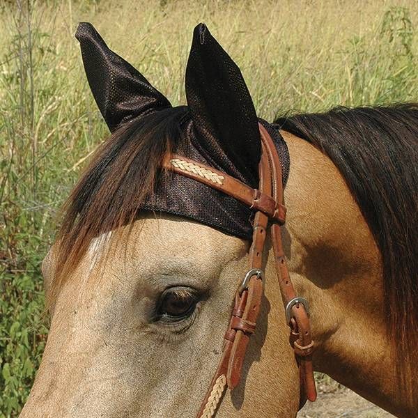 Comfort Ears