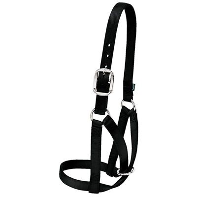 Cow Barn Halter, Black