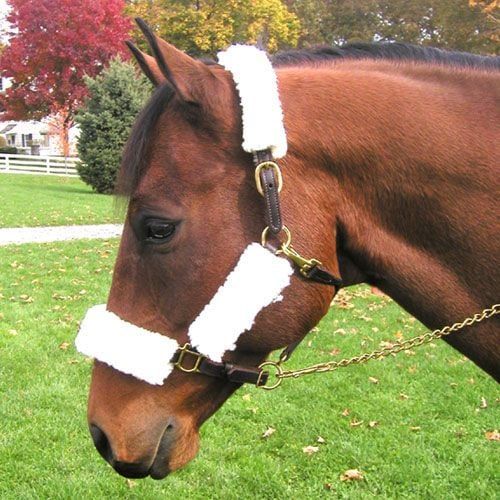 Plush Fleece Halter Tube Sets