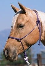 6mm Double Diamond Rope Halter