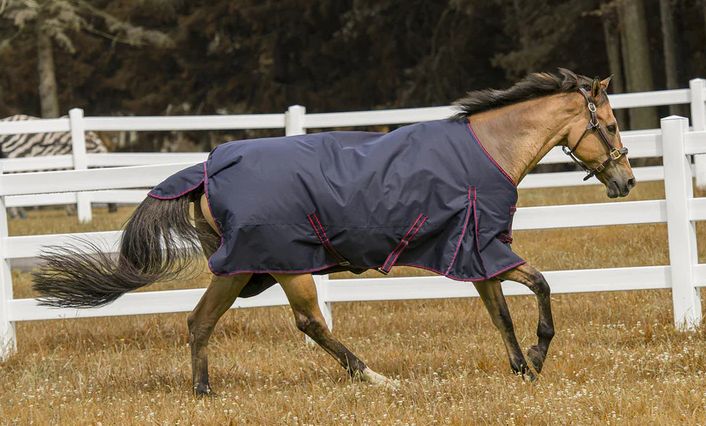 Turnout Blanket - Tuffrider 1200D Winter Blanket, Medium Weight 200 gms, Standard Neck
