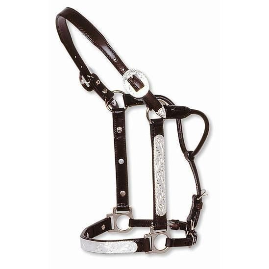 Circle Y Show Halter – Engraved Silver