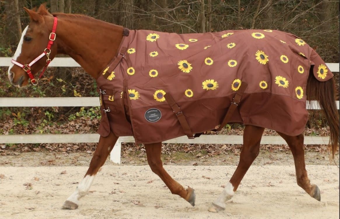 Turnout Blanket - Perfect Fit 1200D 300G