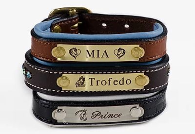 Bracelet - Padded Leather with Engraved Plate