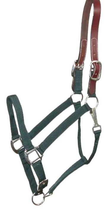 Nylon Breakaway Halter